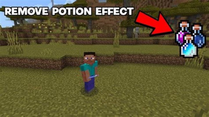 Can I disable permanent potion effects in minecraft? [closed]