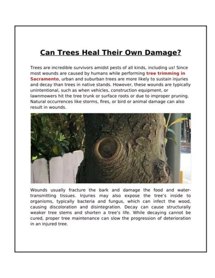 Do the trees heal after taking damage?