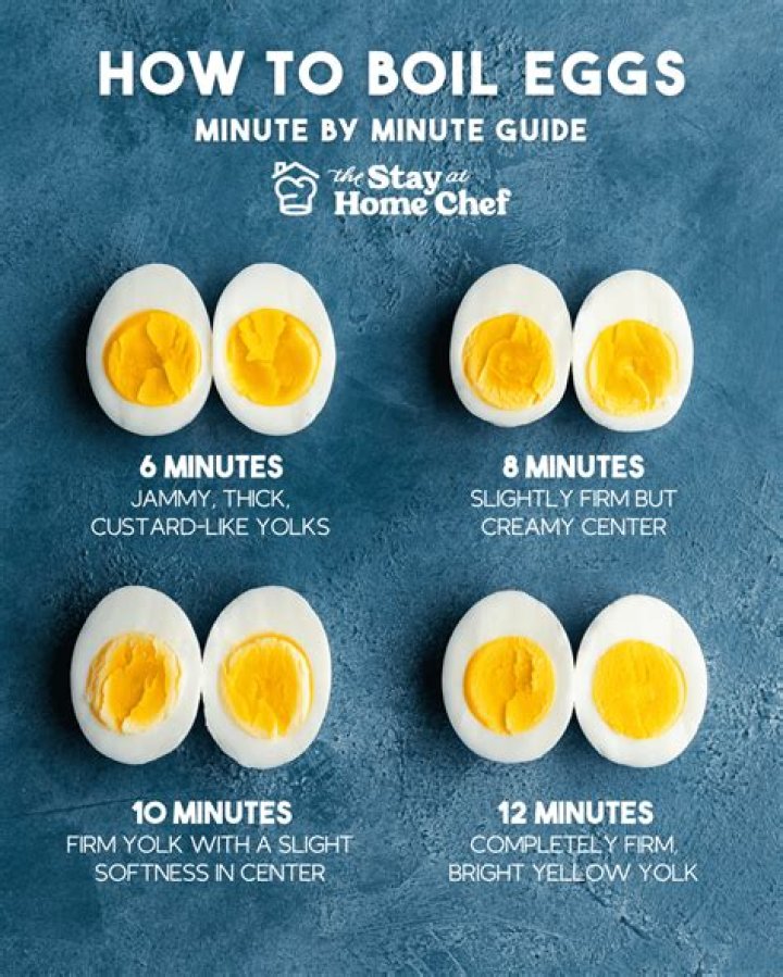 How do the eggs function?