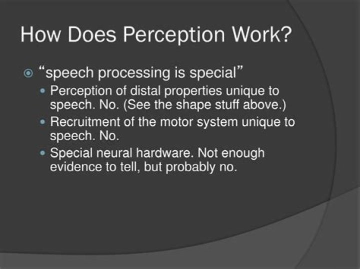 How does perception work?