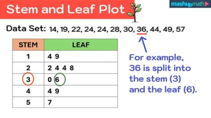 How does the plort market work?