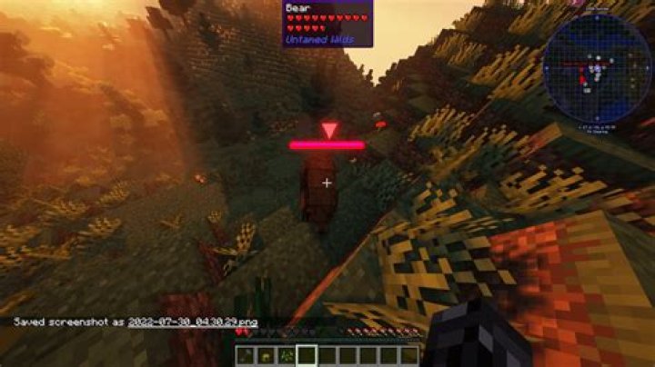 How to detect a mobs health, on Java 1.17