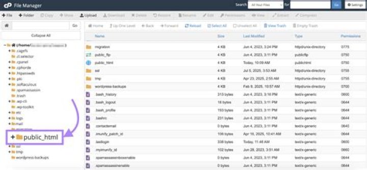 public_html folder replaced with public_ftp in cPanel