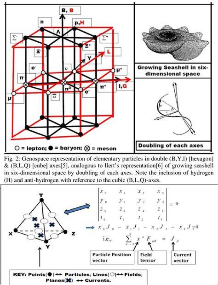quasi-compact and compact in algebraic geometry