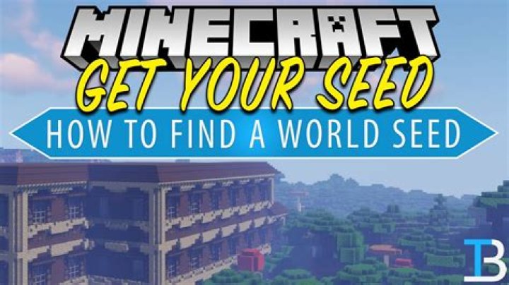 Viewing the world seed in the multiplayer mode